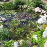 garden ponds miniature ponds - how to build a small pond in your garden YTGMQID