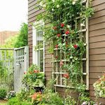 garden trellises wall mounted outdoor trellis LETBZAZ