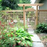 garden trellises wonderfull design garden trellis ideas trellises outdoor metal SKODOMP