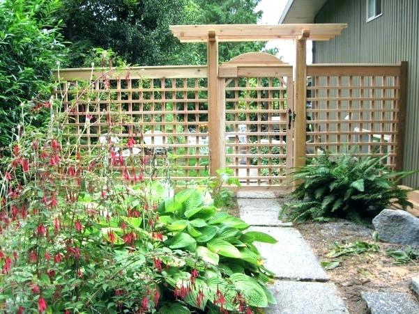 garden trellises wonderfull design garden trellis ideas trellises outdoor metal SKODOMP