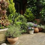 gardening inspiration: how to style a patio garden | the telegraph ZYGWKAW