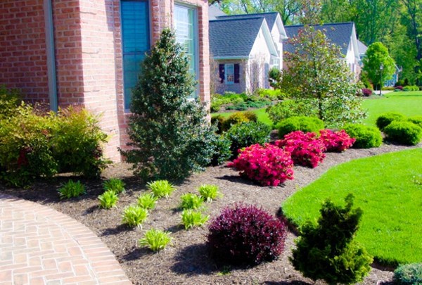 Reasons you should have a good front garden design