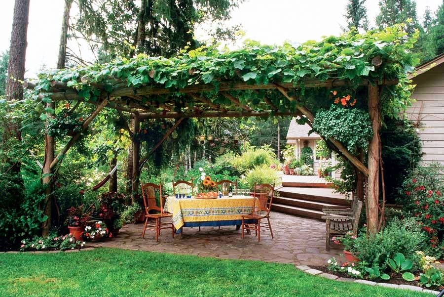 grape arbor but when the time comes you will be able to enjoy the BUIFOYH