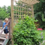 grape arbor construction | deckman custom decks BKHDKIY