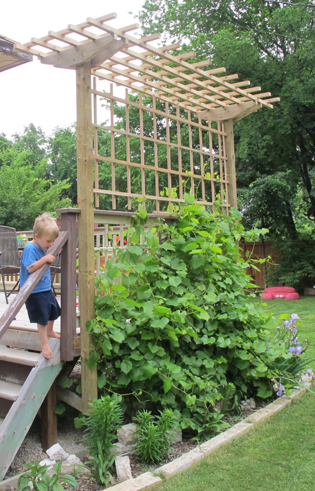 grape arbor construction | deckman custom decks BKHDKIY