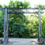 grape arbor free building plan for a gorgeous diy friendly arbor / pergola: it NWODDXX