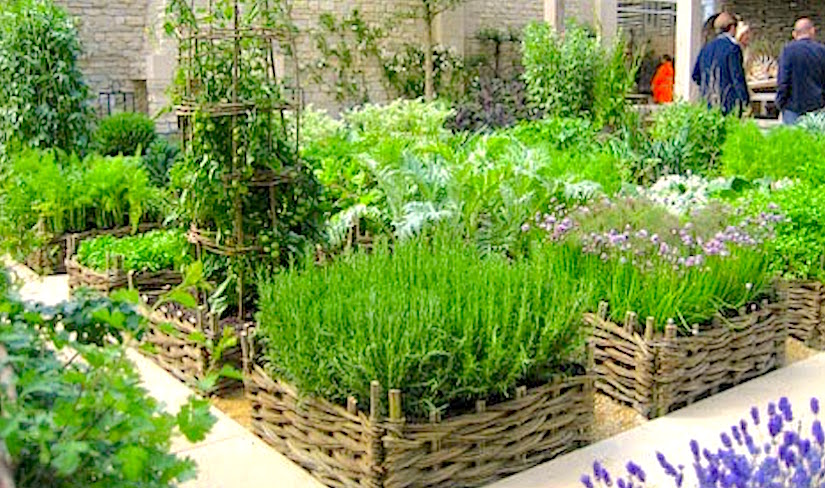 herb gardens having fresh herbs on hand BICLWVF