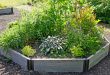 herb gardens herb garden IRCDTHB