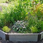 herb gardens herb garden IRCDTHB