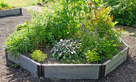 herb gardens herb garden IRCDTHB