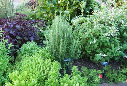 herb gardens herb gardening ZIFQMFB