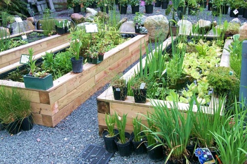 home garden ideas with outdoor pond OTEIRNK