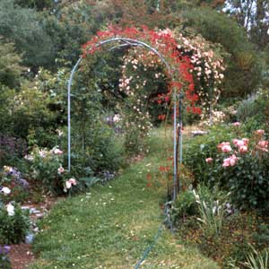 house garden arches TKODHOL