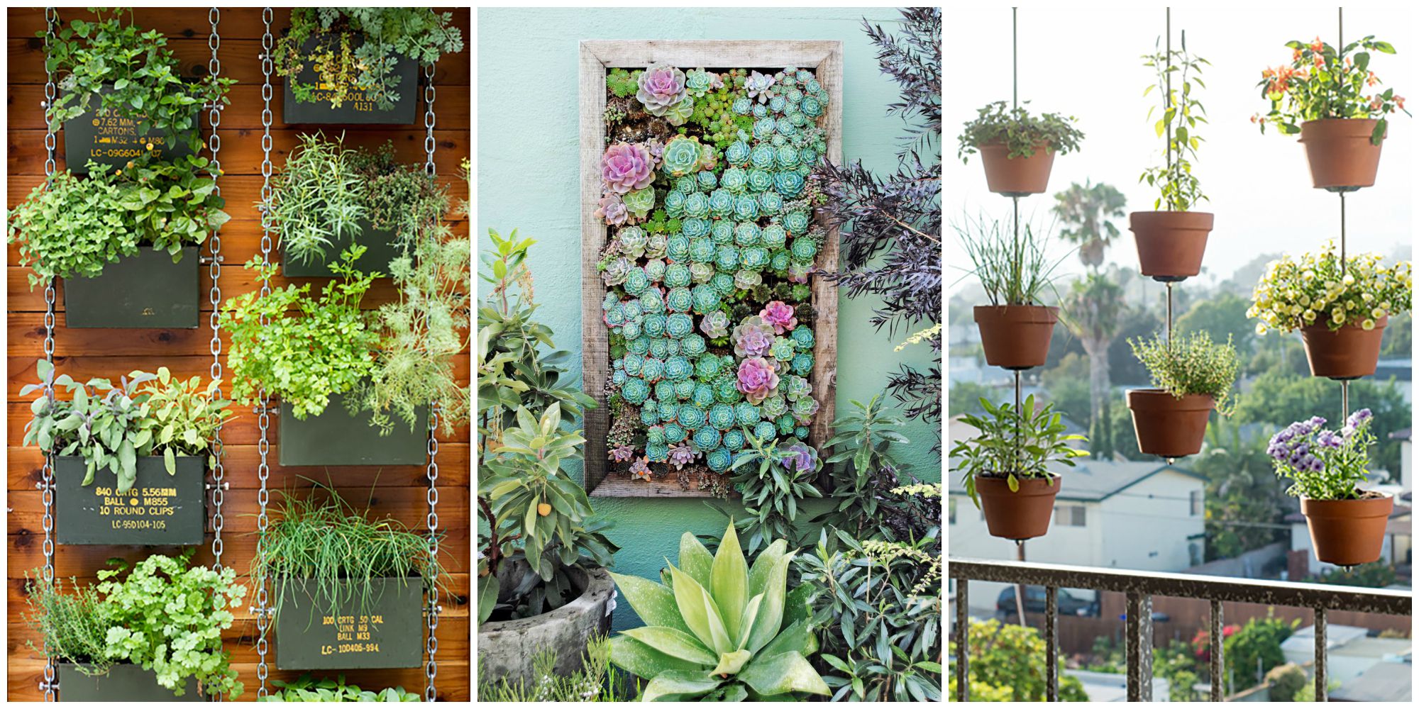 how to plant a vertical garden LMIWKVA