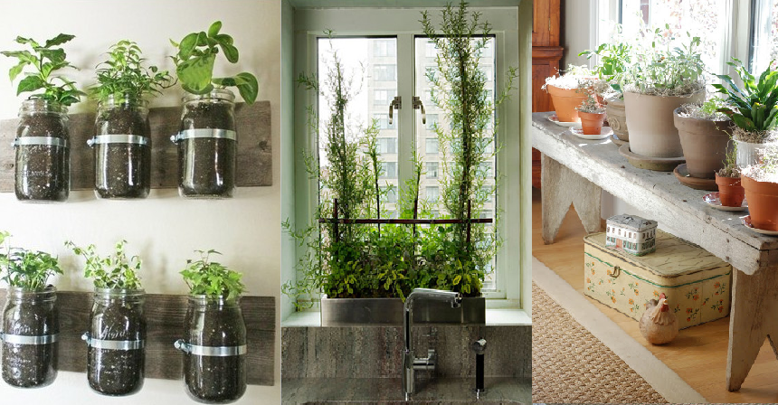 indoor garden ideas indoor gardening ideas RYUAQGC