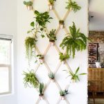 indoor garden ideas indoor trellis GTVRPXI