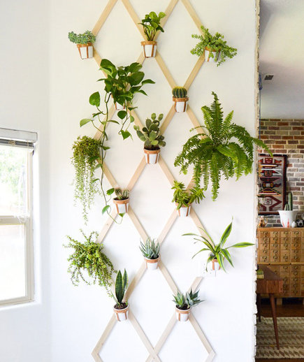 indoor garden ideas indoor trellis GTVRPXI