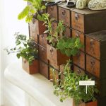 indoor garden ideas mini-indoor-gardening-14 TIQCCRZ