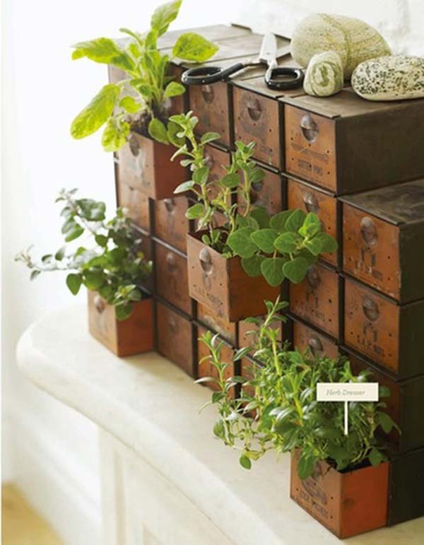 indoor garden ideas mini-indoor-gardening-14 TIQCCRZ