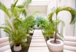 indoor garden ideas QHNGRRU