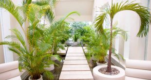 indoor garden ideas QHNGRRU