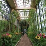 indoor gardens a footpath in longwood gardens IBDICMY