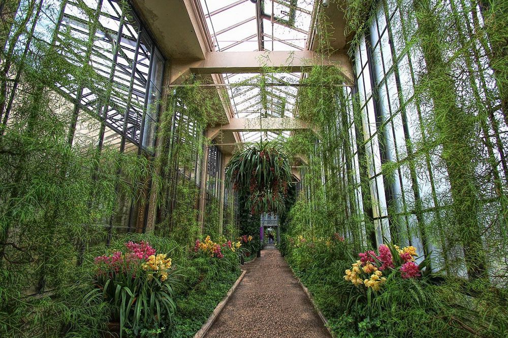 indoor gardens a footpath in longwood gardens IBDICMY