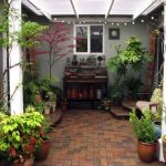 indoor gardens advantages of indoor gardening NGCKWCN