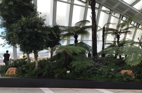 indoor gardens sky garden: some of the plants in the indoor garden YQRRRSD