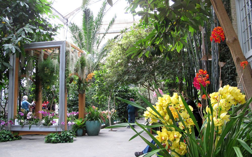 indoor gardens the mediterranean room at the u.s. botanic garden HUMCQUE