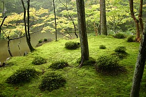 japanese garden PFKFXSZ