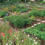 kitchen garden create decorative boundaries FJKVQIS