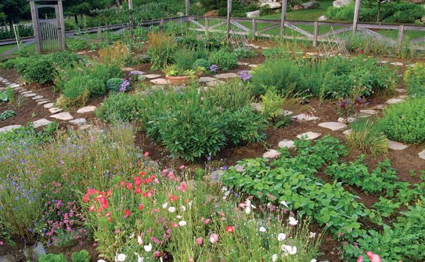 kitchen garden create decorative boundaries FJKVQIS