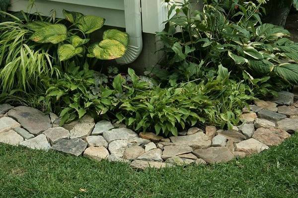 The Landscape Edging Ideas You
can explore for Your Design