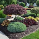 landscape ideas landscape design idea for the outside of a sidewalk. RWSERMJ