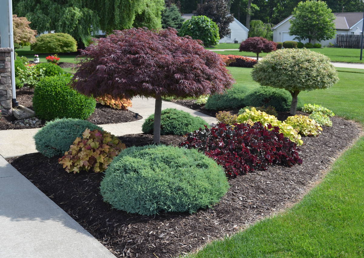 landscape ideas landscape design idea for the outside of a sidewalk. RWSERMJ