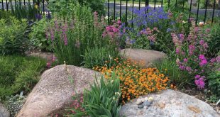 landscaping with rocks mix large rocks with flowers in beds. CLXRQCJ