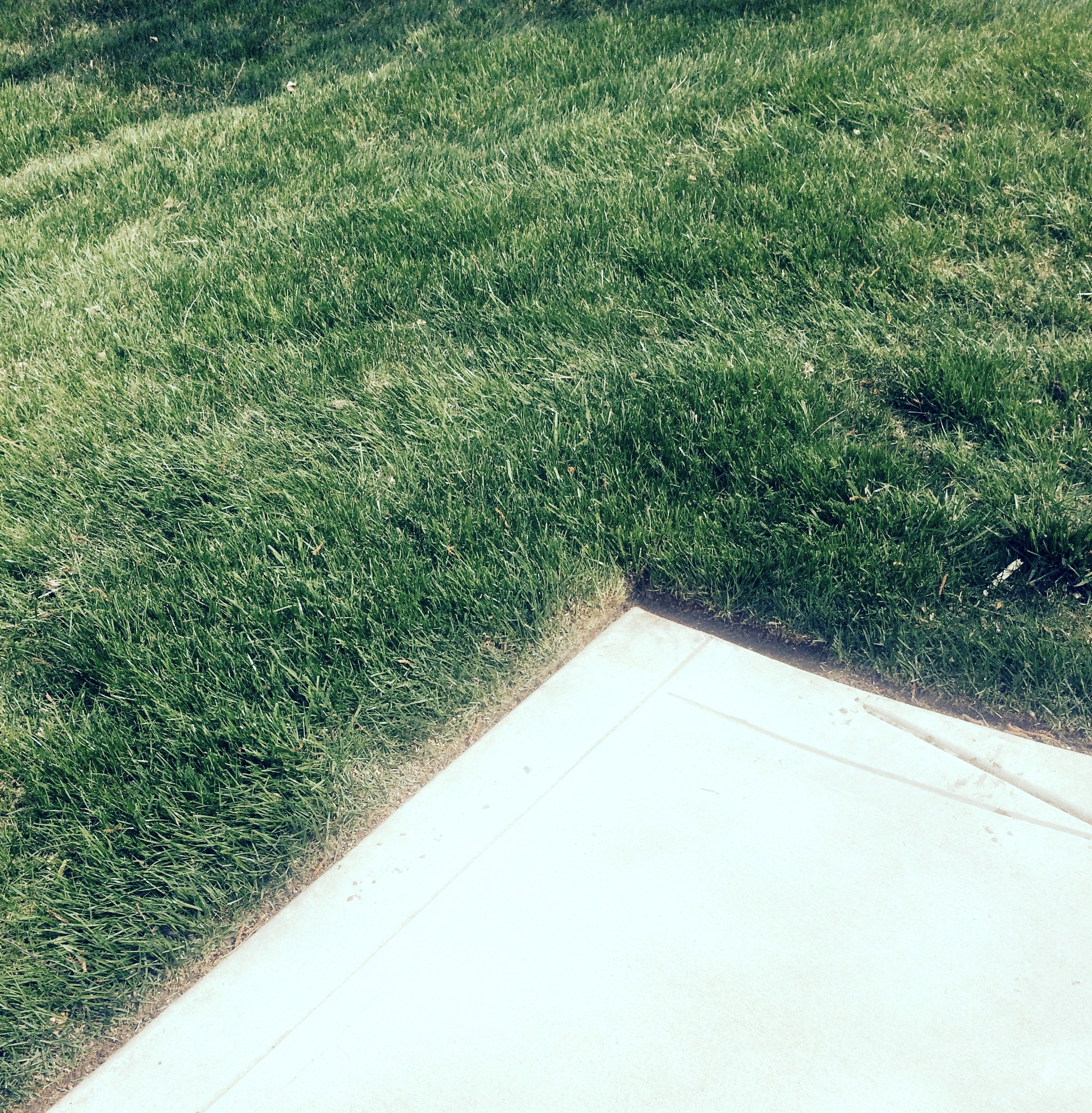 lawn edging carmel landscaper TWPXRFM