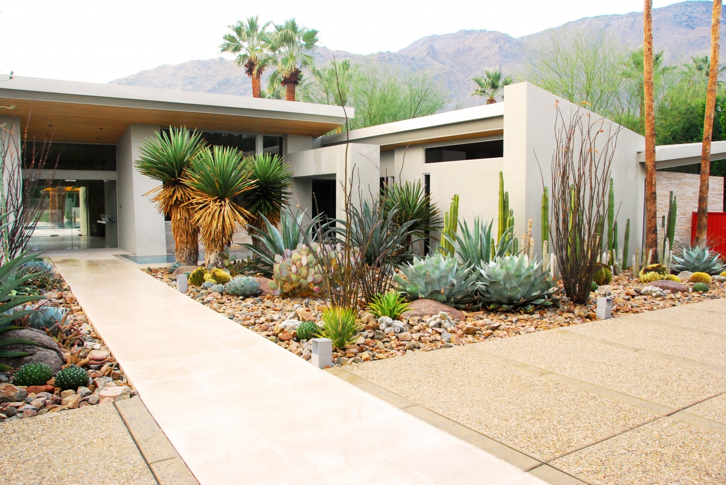 modern gardens in mid-century gardens, a scattering of shrubs was low maintenance yet XNZBASM