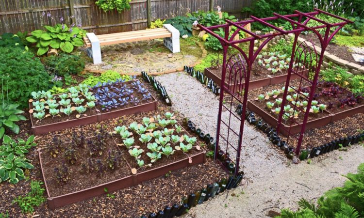 modern vegetable garden design ideas YYOSTJH