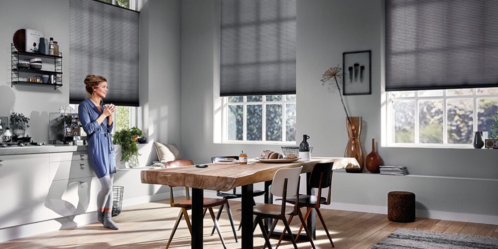 motorized blinds versatility, convenience, and style are a few of the benefits of swapping LXVDVTE