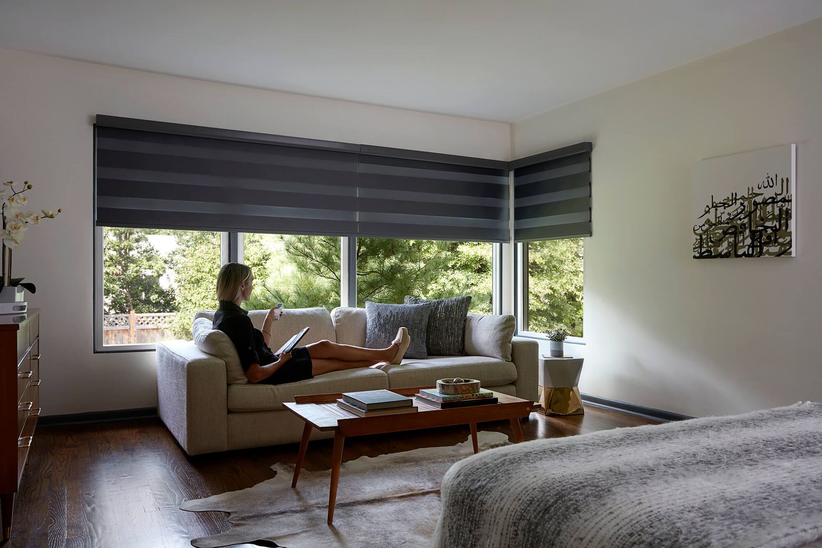 motorized window shades motorized. blinds and shades ABODCMY