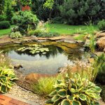 natural backyard ponds QAGVIJP