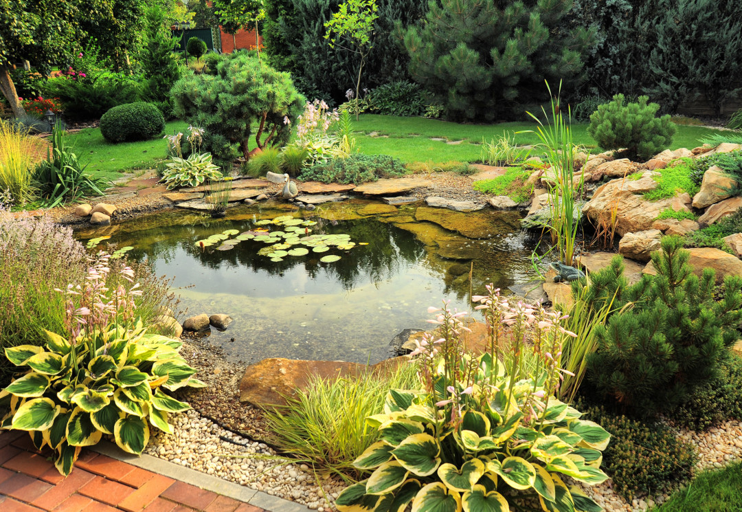 natural backyard ponds QAGVIJP