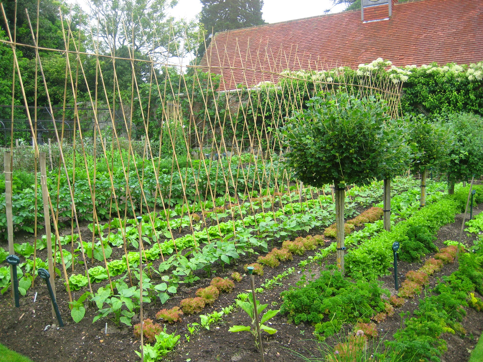 pashley manor gardens late spring early summer kitchen garden by kate IJRPOPR