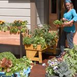 patio garden fresh food at your doorstep ESFPRLY