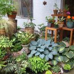 patio garden patio gardening patio vegetable garden ideas for small spaces IRUGWNO