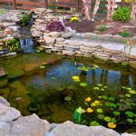 pond design kansas city koi ponds DROUPID