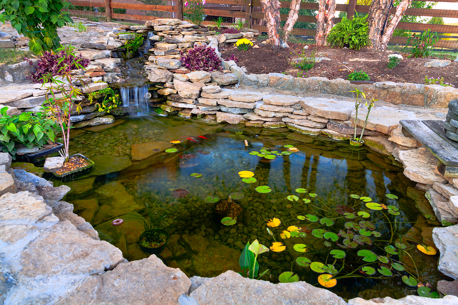 pond design kansas city koi ponds DROUPID