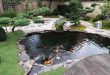 pond design small koi fish in garden for ponds design ideas - youtube FDAZIOP